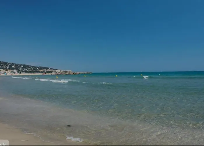 Magnifique A Deux Pas De La Parking Appartement